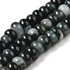 Natural Agate Beads Strands G-H295-C03-08-2