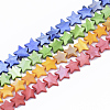 Freshwater Shell Beads Strands SHEL-S276-31-1