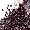 TOHO 8/0 Round Beads SEED-TR08-0503-1