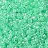 Glass Seed Beads SEED-S042-13A-11-3