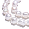 Natural Cultured Freshwater Pearl Beads Strands PEAR-N014-08F-5
