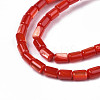 Natural Trochid Shell/Trochus Shell Beads Strands SHEL-N003-26-B03-3