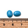 Synthetic Turquoise Cabochons G-G759-Z21-3