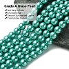 Eco-Friendly Dyed Glass Pearl Round Beads Strands HY-A008-8mm-RB073-3