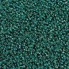 MIYUKI Round Rocailles Beads SEED-JP0008-RR0295-3