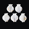 Natural Freshwater Shell Big Pendants SHEL-N038-17-1