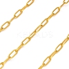Stainless Steel Oval Paperclip Chains CHS-G040-01A-G-1