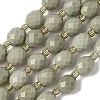 Natural Alashan Agate Beads Strands G-F809-A10-01-2