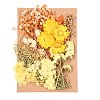 Dried Flower DIY-B018-15-1