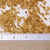 MIYUKI Delica Beads X-SEED-J020-DB0065-4