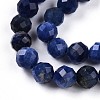 Natural Sodalite Beads Strands G-S345-6mm-26-4