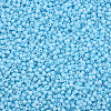 13/0 Glass Seed Beads SEED-T005-14A-A18-3