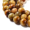 Natural Tiger Eye Beads Strands G-G099-10mm-9-3