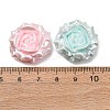 Opaque Resin Beads RESI-D026-02-2