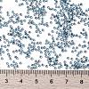 MIYUKI Round Rocailles Beads X-SEED-G009-RR0339-4