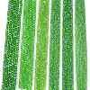 Electroplate Glass Beads Strands EGLA-A044-T6mm-L11-2