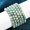 Natural Amazonite Beads Stretch Bracelets for Men Women BJEW-K286-01-1