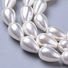 Polished Shell Pearl Beads Strands BSHE-L042-A02-2