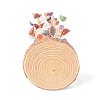 Natural Gemstone Chips with Brass Wrapped Wire Money Tree on Wood Base Display Decorations DJEW-B007-05A-3