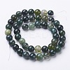 Natural Moss Agate Round Bead Strands G-N0120-30-4mm-2