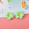 Resin Cabochon CRES-WH20001-06G-1