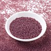 MIYUKI Round Rocailles Beads SEED-G007-RR0303-3