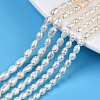 Natural Cultured Freshwater Pearl Beads Strands PEAR-N012-03D-1