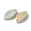 Natural Rainbow Alashan Agate Pendants G-G194-03C-2
