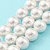 Electroplated Natural Shell Beads Strands SHEL-F008-03B-01-2