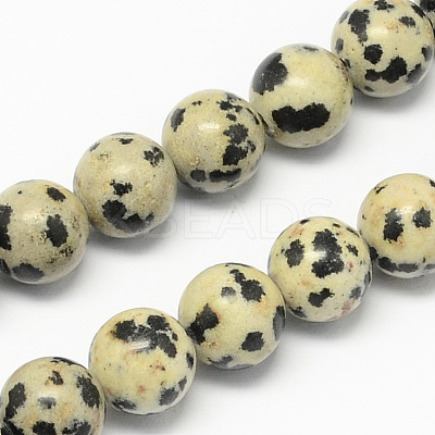 Natural Dalmatian Jasper Stone Bead Strands G-R193-14-4mm-1