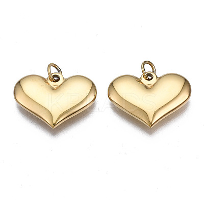 316 Surgical Stainless Steel Pendants X-STAS-N097-005-1
