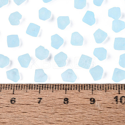 FGB Frosted Transparent Glass Seed Beads SEED-N013-03A-11-1
