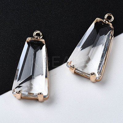 Transparent Glass Pendants X-GLAA-Q088-024B-1