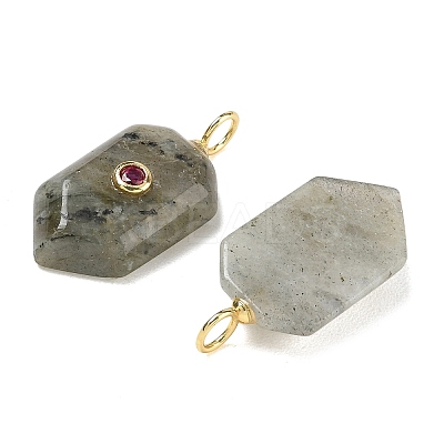 Natural Labradorite Pendants KK-CBAF9BC-20G-01-1