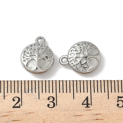 304 Stainless Steel Charms STAS-F320-02A-P-1