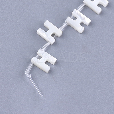 Natural Sea Shell Beads X-SHEL-T012-60H-1