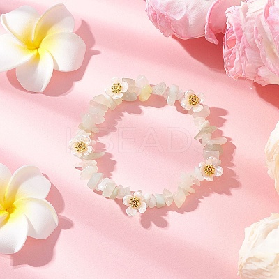 Natural New Jade Beaded Stretch Bracelets for Women BJEW-JB12315-02-1