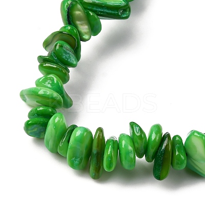 Natural Freshwater Shell Beads Strands BSHE-I016-01D-1