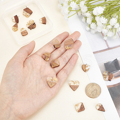 8 Pairs 8 Style Transparent Resin & Walnut Wood Stud Earring RESI-FH0001-43-1