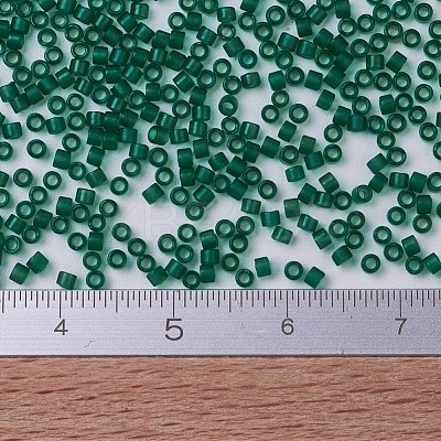 MIYUKI Delica Beads SEED-X0054-DB0776-1