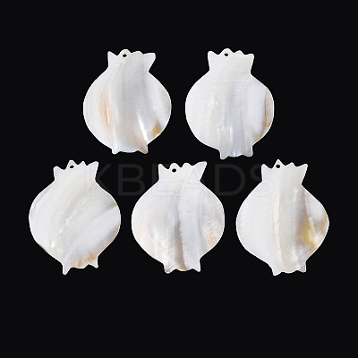Natural Freshwater Shell Big Pendants SHEL-N038-17-1