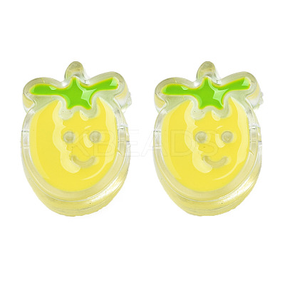Transparent Acrylic Enamel Beads TACR-N012-004G-1