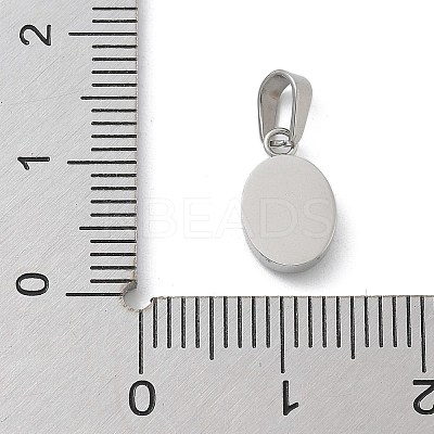 Ion Plating(IP) 304 Stainless Steel Micro Pave Cubic Zirconia Pendants STAS-Z107-02P-02-1
