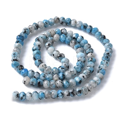 Dyed Natural Sesame Jasper Rondelle Beads Strands G-E316-2x4mm-A01-1