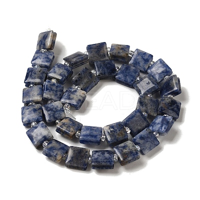 Natural Blue Spot Jasper Beads Strands G-L596-A07-01-1