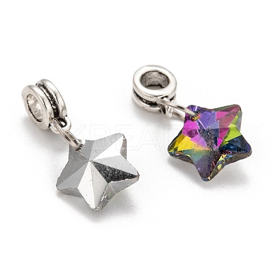 Tibetan Style Alloy Large Hole European Dangle Charms LS-X-PALLOY-JF00040-1