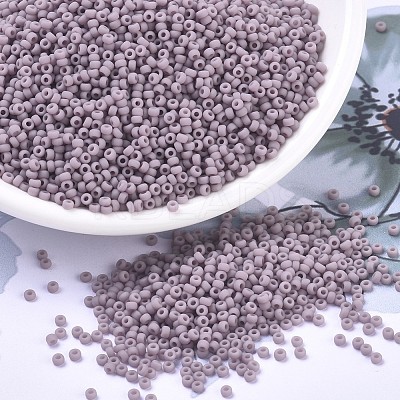 MIYUKI Round Rocailles Beads SEED-X0054-RR0410F-1