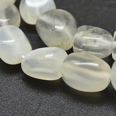 Natural White Moonstone Beads Strands G-O186-C-04-1
