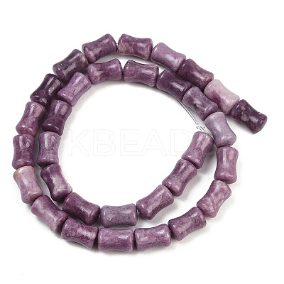 Natural Lepidolite/Purple Mica Stone Beads Strands G-F792-B01-1
