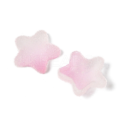 Imitation Candy Food Style Resin Cabochons X1-RESI-R461-02K-1